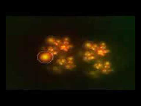 دمعي يداعب مقلتي