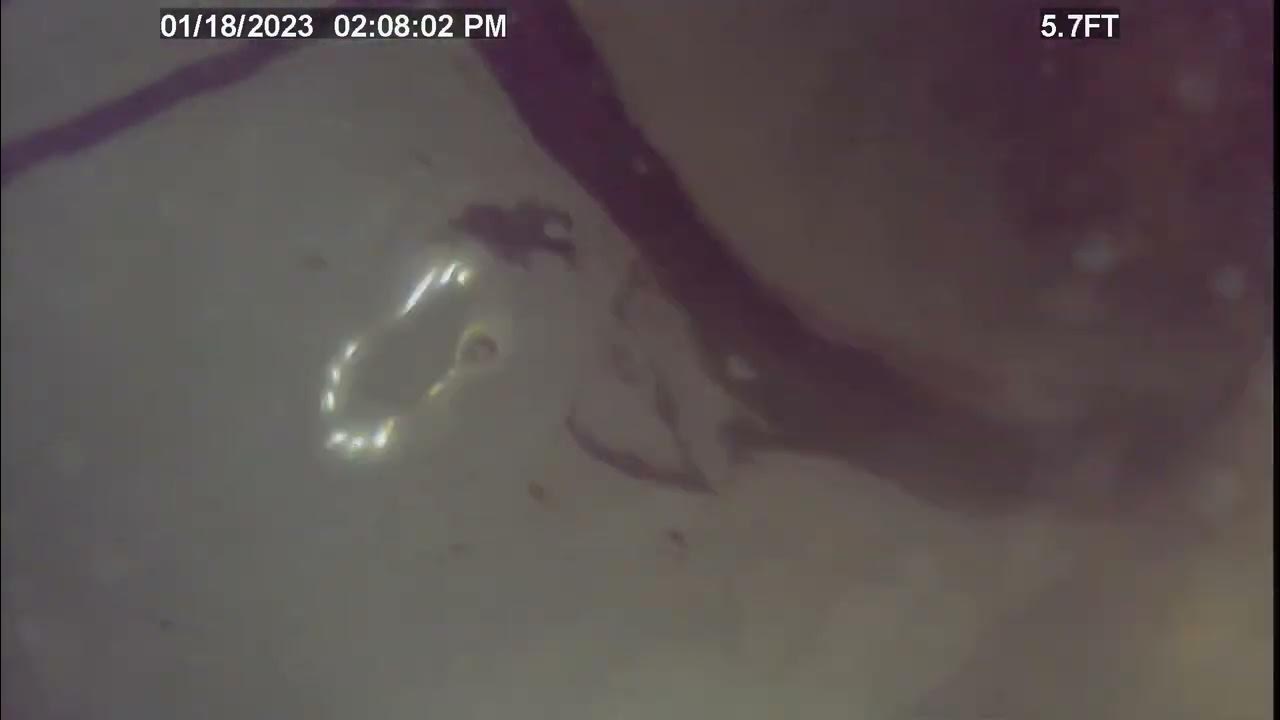 sprouts palmdale juice drain clear YouTube