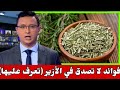 فوائد إكليل الجبل أزير الصحية خارقة ومذهلة 