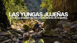 JUJUY'S YUNGAS: A hidden wonder and one of Argentina's most extraordinary ecosystems. screenshot 5