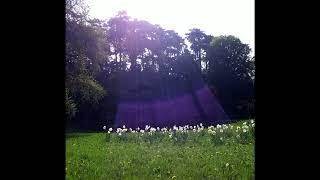 Free Old Xtentacion Skin Heartbreak Hotel Type Beat Birthday