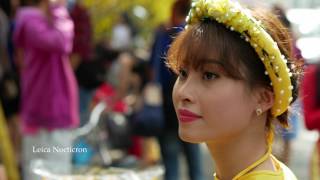 Sigma Art 50Mm F1.4 Vs. Leica Nocticron Round Ii