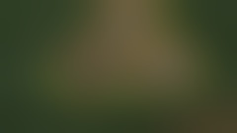 Command & Conquer Generals Zero Hour Redesigned Alert China Abilities Extended Auto Loader