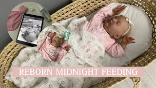 Reborn Baby Lily's midnight feeding 💫|| Reborn baby Liliy🌸|| Little Reborns