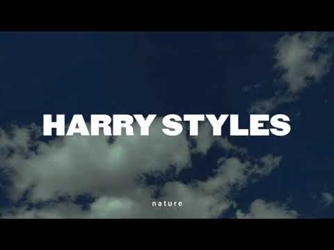 Harry Styles -