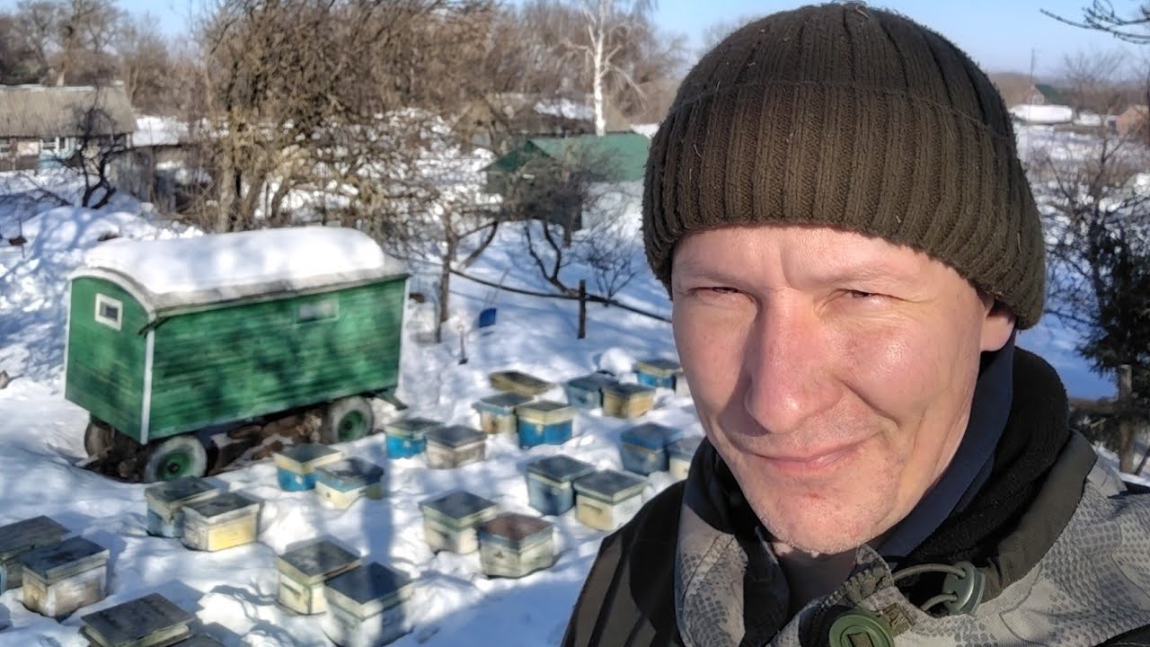 7 марта - Проверяем пасеку, скоро облёт..... 