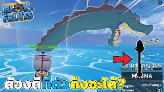 Blox Fruits : ต้องตีเจ้าทะเลกี่ตัว? ถึงจะได้ที่ 