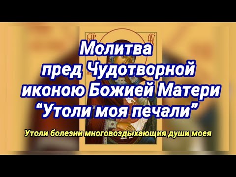 "Утоли моя печали" Молитва пред Чудотворной иконой Божией Матери