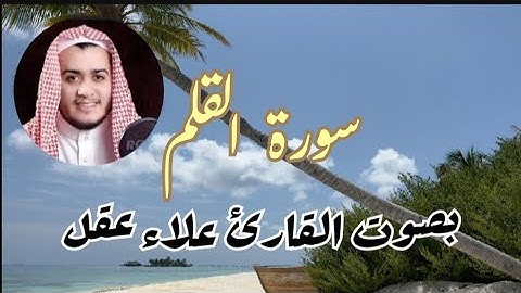 سورة  القلم بصوت  القارئ علاء عقل#ahmadamer23
