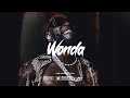 (FREE) Burna Boy x Wizkid x Afroswing Type Beat 2023 - "Wonda" | Afrobeat Instrumental