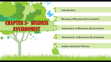 Business Studies class 12 chapter 3|BUSINESS ENVIRONMENT- Features, Importance and Dimensions