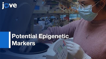 Histone From Sorghum Leaf Tissue For Top Down Mass Spectrometry Profiling  | Protocol Preview