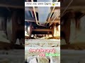 रील्स के लिए जान दे दिया #viralvideo #trainshorts #viral #shorts #shortsviral #shortvideo #youtube