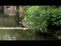 025 MOV Theo S IPhone 5 025 MOV Theo S IPhone 5