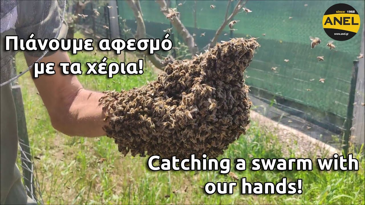 Πιάνουμε αφεσμό στα χέρια με το μαντηλάκι Allure της ANEL!