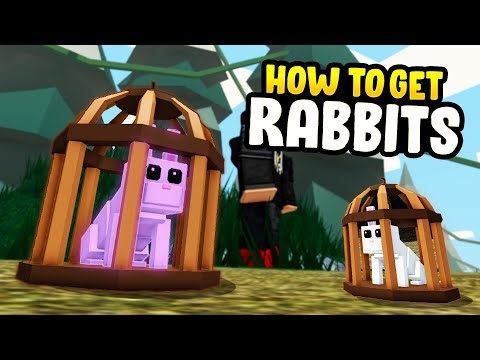 Video: How To Get Rabbits