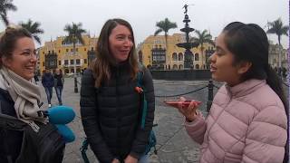 Project Basic 5 - ICPNA Tourists in Lima.