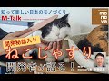 M-Talk #3「ねこじゃすり」について聞いてみました