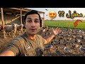 حولت مزرعتي إلى محمية للبط المهاجر 🦆 صدمة الحيوانات! 🤣
