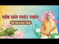 TU niệm Phật, quán sao cho đúng Pháp; Quỷ-thần tác động đến thế giới con người;.. | VĐPP-03/10/2021.