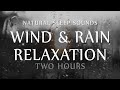 Wind and Rain Relaxation Two  Hours Natural Sleep Sounds (White Noise for Sleep, Study, Meditation)