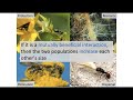 SURE 2021 | Context-dependent variation in the legume-rhizobium mutualism across plant life history
