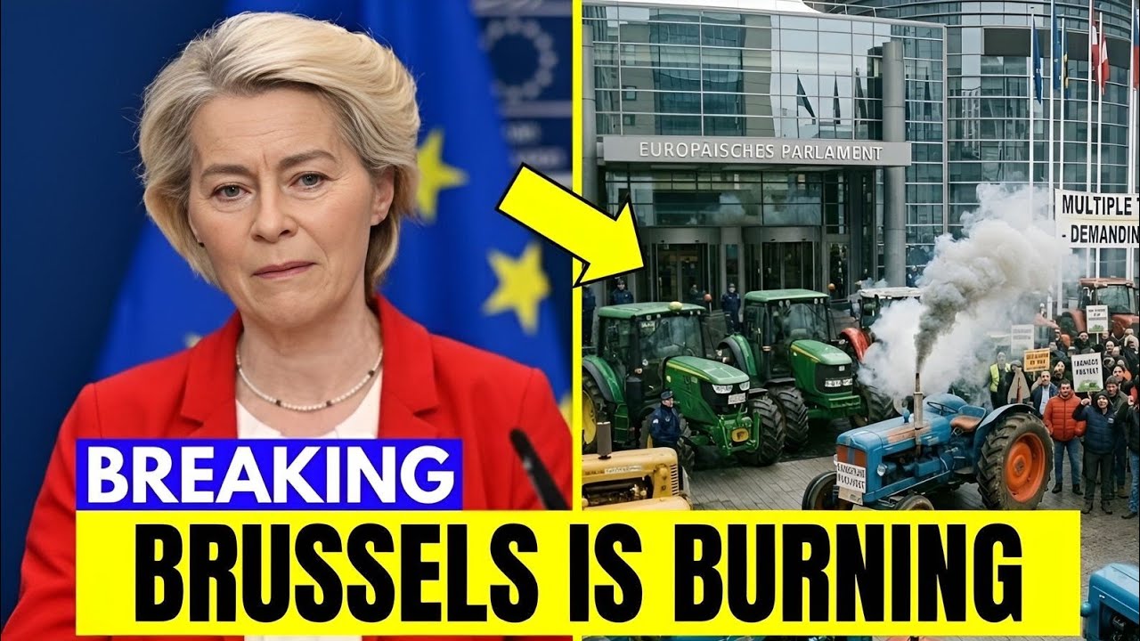 Tractors in Brussels: The Massive Revolt That is About to Paralyze the European Union.
