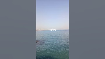 محمد أيوب | سورة الأحقاف