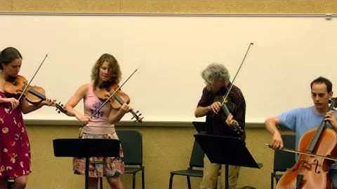 Darol Anger plays his "Coal Burnin