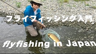 フライフィッシング入門 コイ釣り Flyfishing In Japan フライフィッシング入門 コイ釣り Flyfishing In Japan