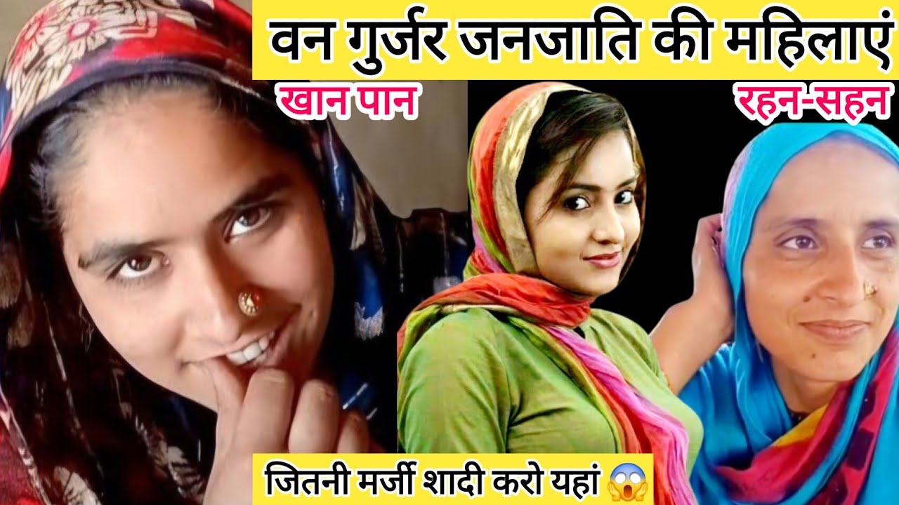 वन गुर्जर जनजाति की महिलाओं का जीवन | NOMADIC| GUJJAR JANJATI| Nk thapliyal vlog| Best trading app