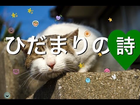 ひだまりの詩 yosi ウクレレ
