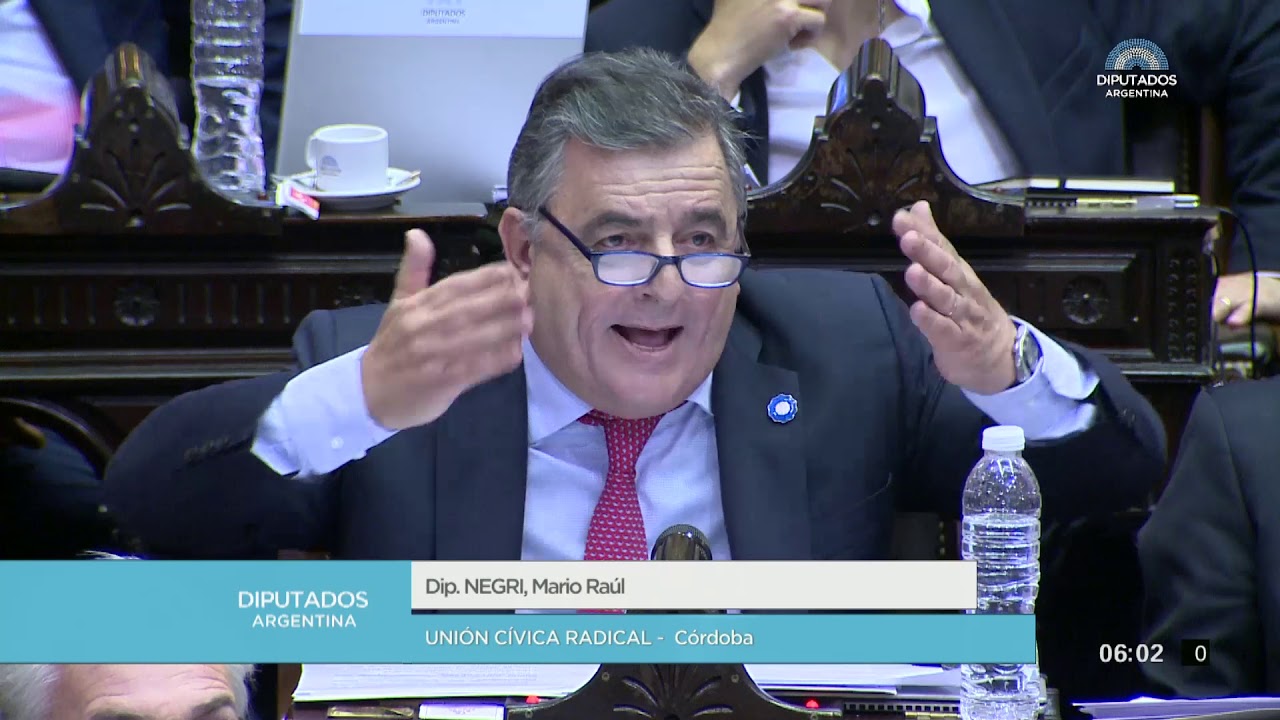 Diputado Negri Mario Raúl - Sesión 19-12-2019 - PL