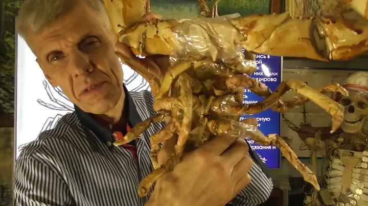 Aliens Among Us. When Insectoids Ruled the Earth. Alexander Belov, December 15, 2025.