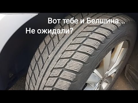 Зимние шины Белшина Artmotion Бел-317 205/55r16 отзыв. Стоит ли брать?