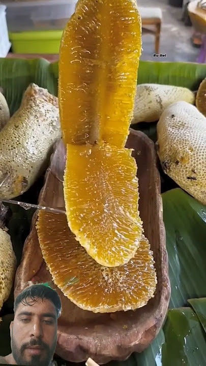 jungali Hani Seth #fruit #honey #shortvideo #shorts #shortsfeed #shortsviral #youtubeshorts #hania