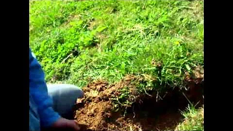 The Dirt Hole Set-That Works!