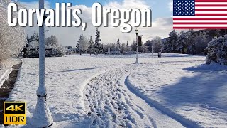 Corvallis, Oregon   Oregon State University Campus  4K Walking Tour in 2022