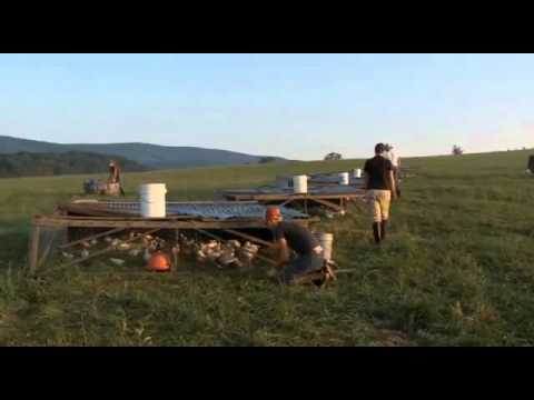 Chicken Tractor and Electric Poultry Net | Doovi