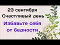 23 сентября - Счастливый день. Возьмите немного сахара и избавьтесь от бедности | Лунный Календарь