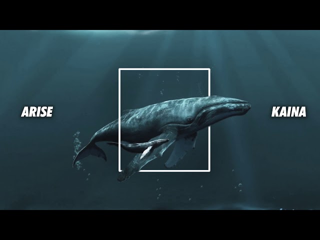 Arise by KAINA | KM