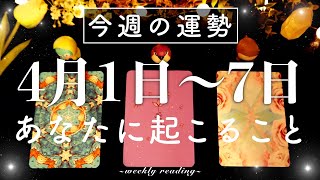 【4月1日〜4月7日】今週はスタートの時🏃‍♀️🌸💫当たるタロット占い🌷🌟恋愛｜仕事｜人間関係