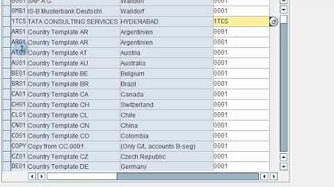 SAP FICO VIDEO TRAINING TUTORIALS 0016 ASSIGN COMPANY CODE TO FIELD STATUS VARIANTS ECC6 - BAYISETTI