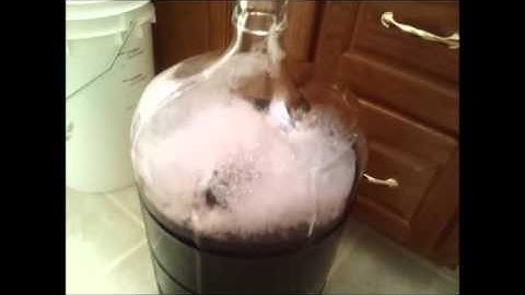 Making Red Wine from a Kit Part 2