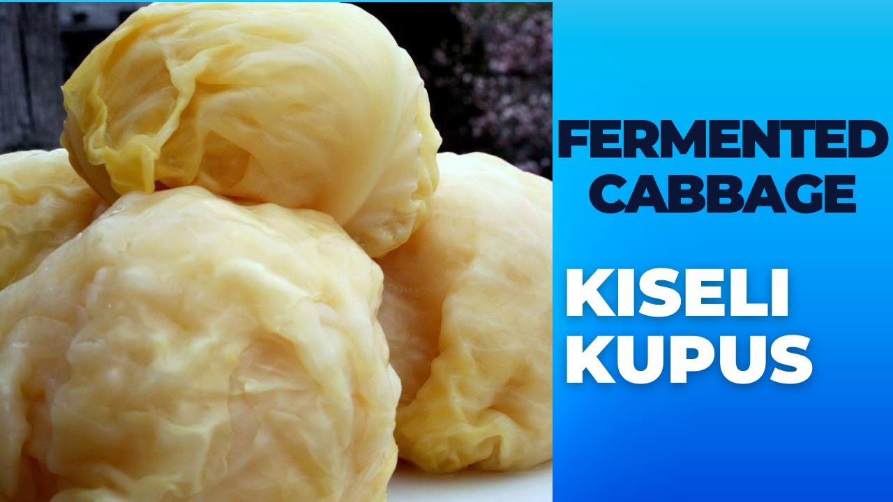 How To Make 🍽 FERMENTED CABBAGE HEADS (Sauerkraut)Kiseli Kupus YouTube