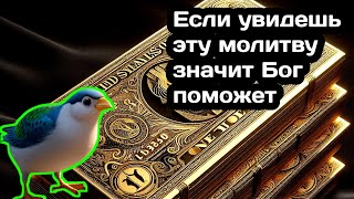 зикр все проблемы будут решены. Слушай утром и вечером каждый день