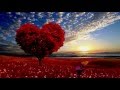 love tree - Футаж дерево любви full hd 1080