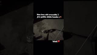 Crocodile 🐊 milde a agle mele te full tyari nl #trending #viral #happygoldsmith #luckygoldsmith