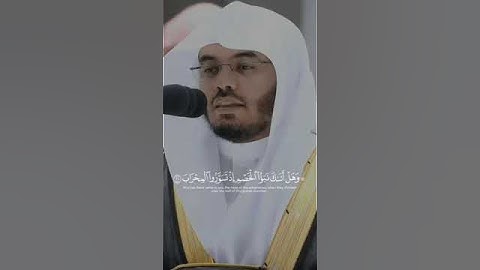 #ياسرالدوسري تلاوة خاشعة | إنا سخرنا معه الجبال يسبحن بالعشى والإشراق والطير محشورة كل له أواب