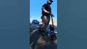 Mesmerizing Momentum: The Ultimate Domino Cascade